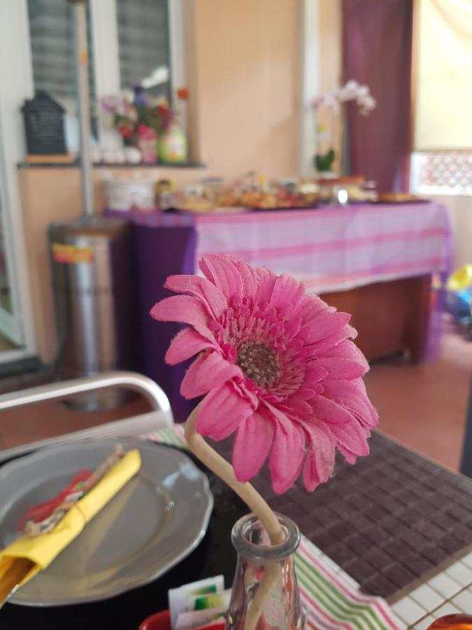 Ghiro Ghiotto Bed & Breakfast Pietra Ligure Eksteriør bilde
